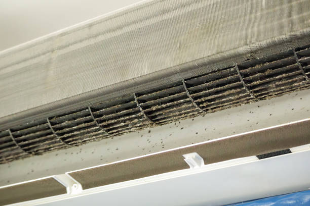 Best Affordable HVAC Duct Cleaning  in Ouray, CO