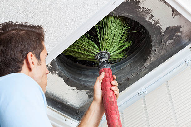Best Air Duct Cleaning Near Me  in Ouray, CO